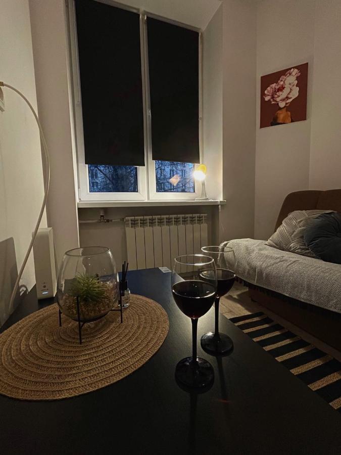 Komfort Na Tamce,Parter, Niedaleko Starowki, Powisle Varšava Exteriér fotografie